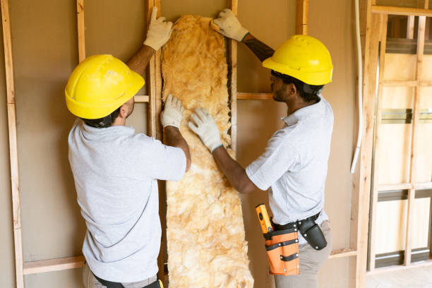 Best Insulation Air Sealing  in Gainesville, FL